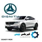 DIGNITY-PRIM